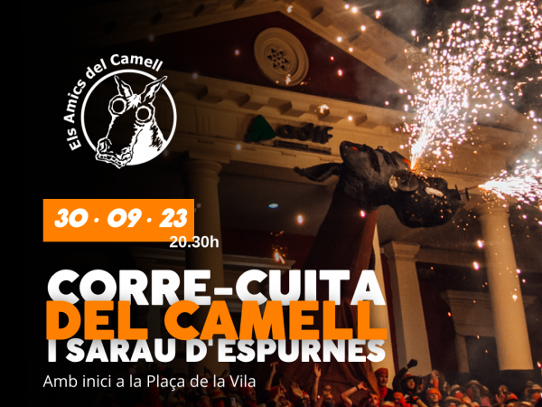 Cicle Gaudí: Robot Dreams