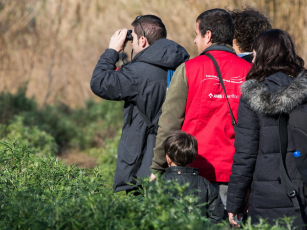 Jugatecambiental: 8è Bioblitz Metropolità. Ciència ciutadana