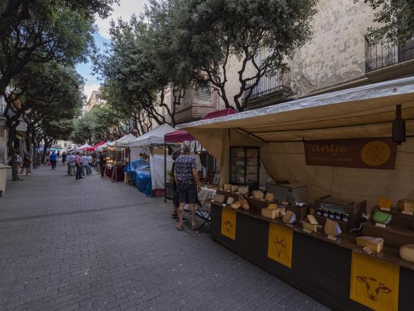 Visita arquitectònica a la Torre Lluc