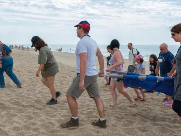 Jugateca de la platja: El dofí Ulisses necessita ajuda!