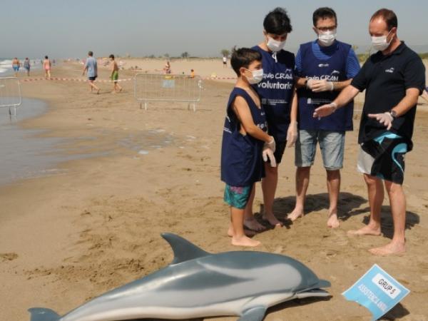 Salvem el dofí Ulisses!