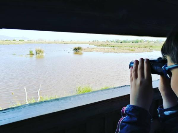 Fem d'exploradors al delta del Llobregat