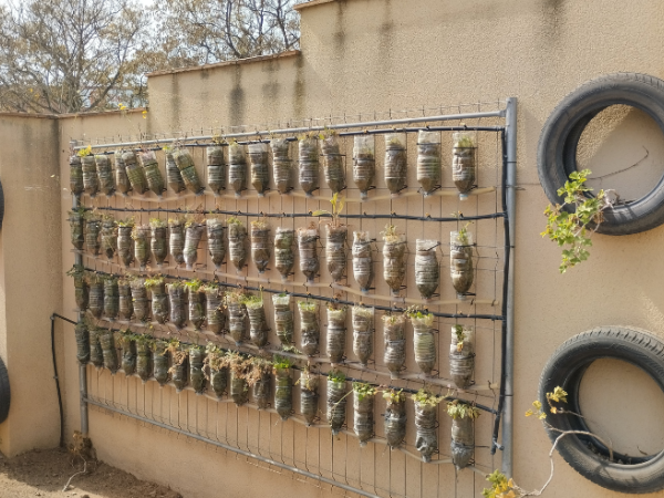 Jugatecambiental: Un hort en ampolles