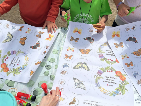 Jugatecambiental: El dia de les papallones