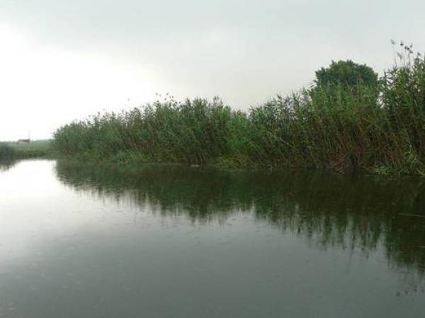 DIA DE LA MURTRA. JORNADA DE DESCOBERTA I PER A FAMÍLIES