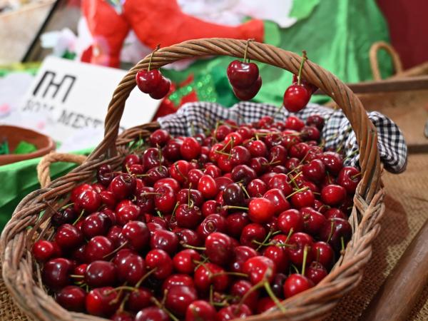 49a Exposició de Cireres de Sant Climent de Llobregat