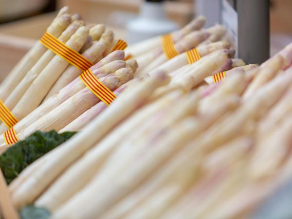 Temps d'Espàrrecs a Gavà