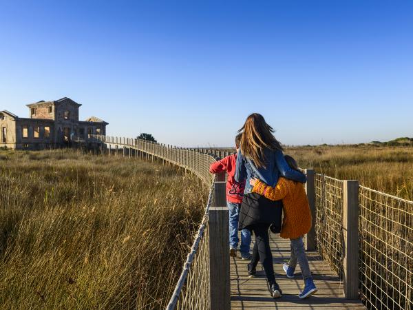 _ORP0225 copiaBA.jpg