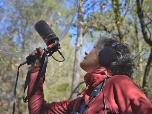 Conferència: El so de la natura, un reflex de la biodiversitat