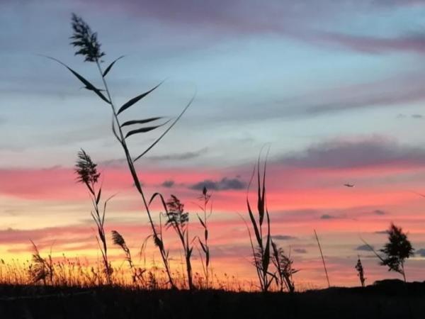 activitat familiar.jpg