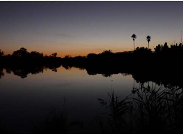 L’ alba al Delta (Remolar)