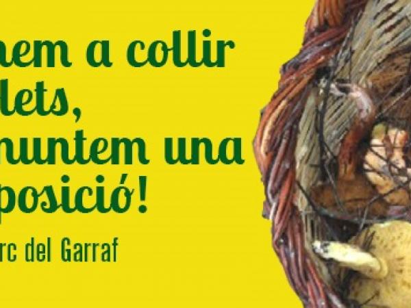 Anem a collir bolets.jpg