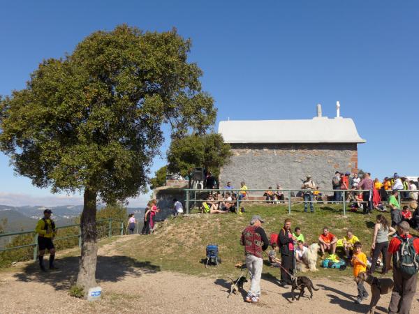 Aplec Sant Antoni XLI-30.jpg