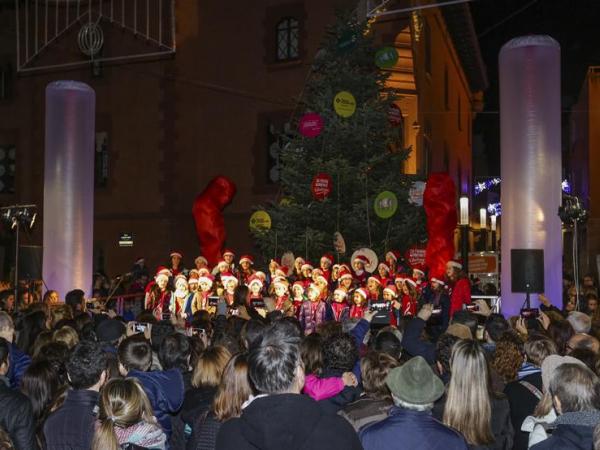 arbre viladecans1.jpg