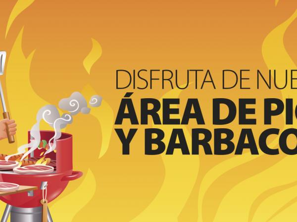 DISFRUTA DE UNA BUENA BARBACOA EN EUROPA BARBACOA