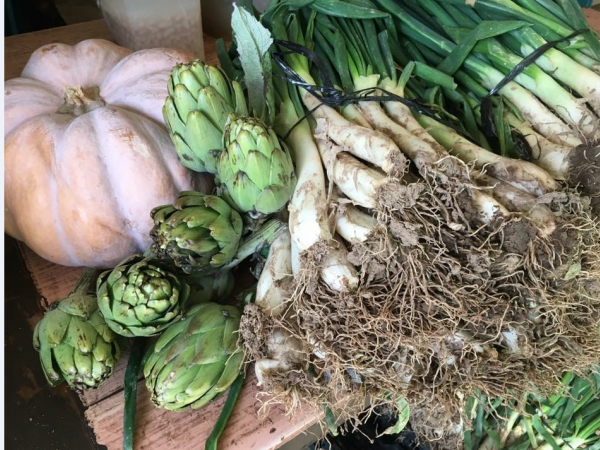 calçot can llates.png