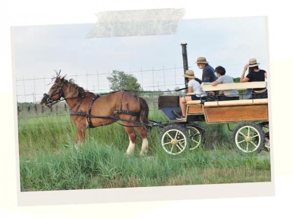 capvespresapages (5).jpg