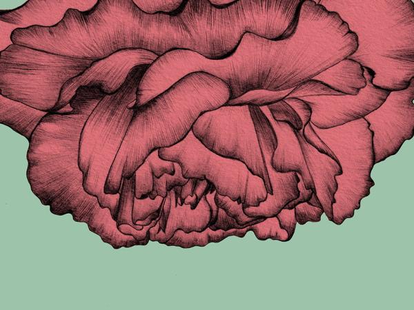 Dia d’Andalusia Casa de Sevilla