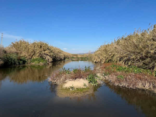 Visites a l’entorn fluvial: “Invasors del Llobregat”
