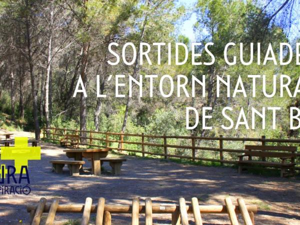 Visites a l’entorn forestal: “Rastres i petjades dels animals del bosc”