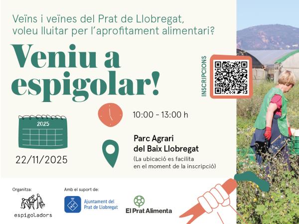 Espigolada popular al Parc Agrari del Baix Llobregat