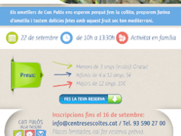 Cartell de 'activitat