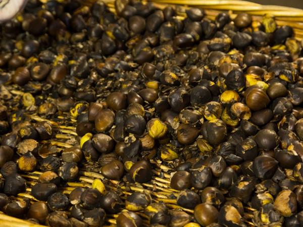 Concert de les bandes locals de Castelldefels LAST DISSONANCE, OPUS PAIN i GEMATRIA