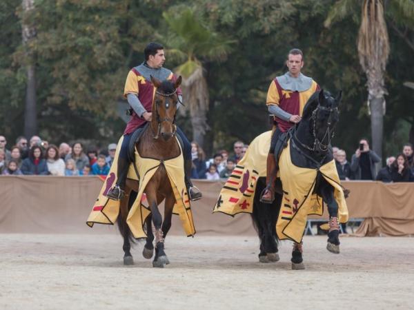 Castrum Fidelis-142.jpg