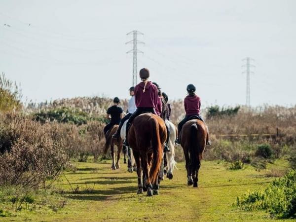 CLUB ESPORTIU TOTS A CAVALL.jpg