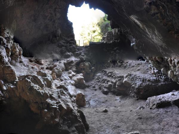 Visita Guiada a la Cova Bonica