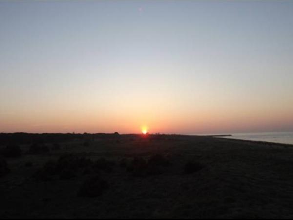 El Crepuscle al Delta