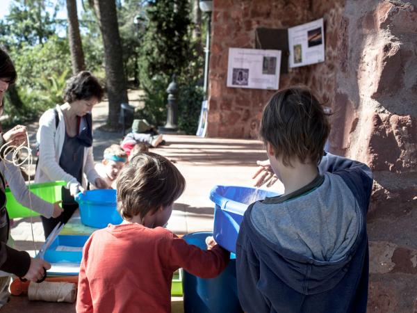 El bon consumidor: sostenible i saludable