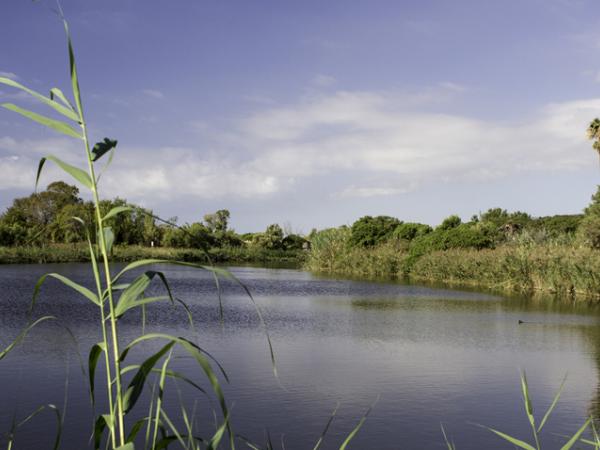 delta del remolar, viladecans oci i turisme.jpg