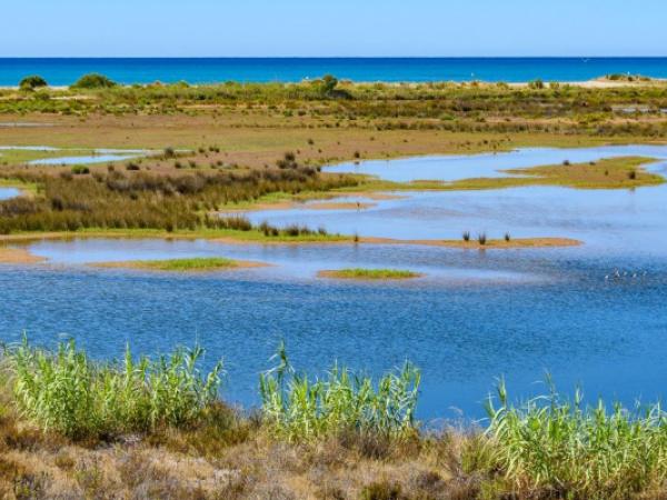 Passejada de descoberta