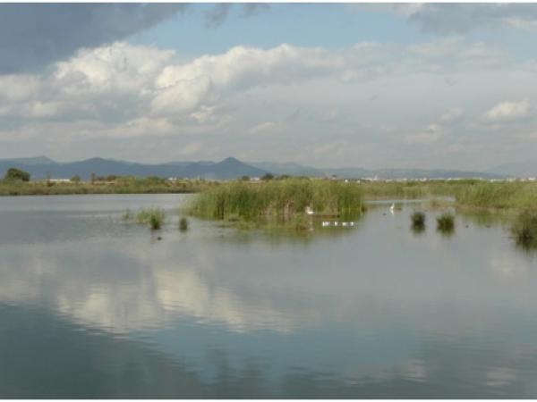 Dia Mundial dels Ocells als Espais Naturals del Riu 