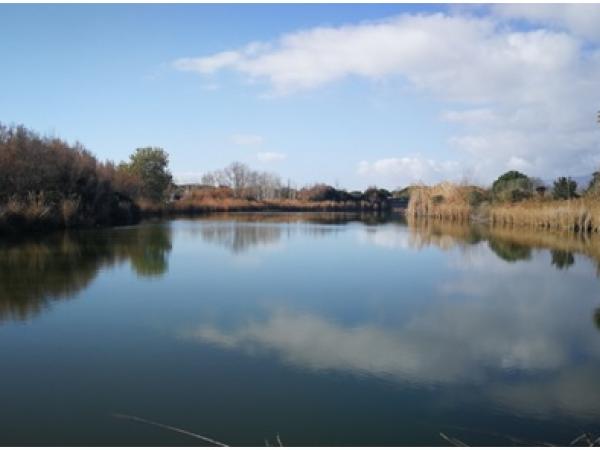 DIA MUNDIAL DELS OCELLS A L’ESPAI NATURAL DEL REMOLAR – FILIPINES 