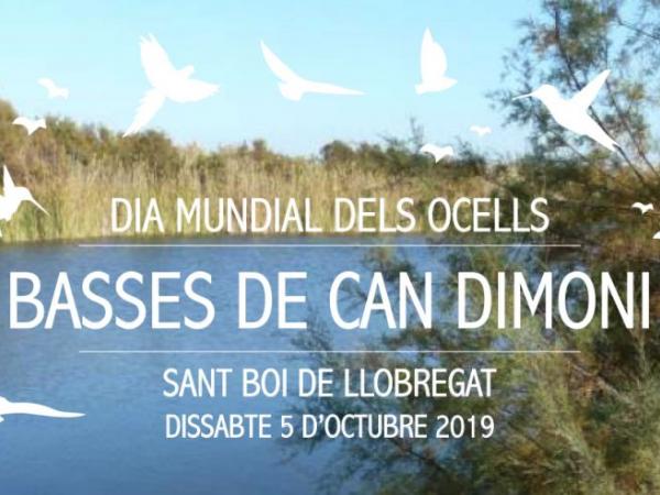 DIA MUNDIAL DELS OCELLS. BASSES DE CAN DIMONI
