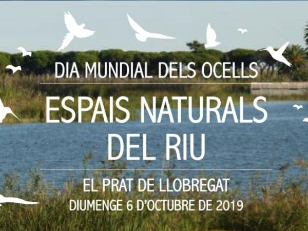 DIA MUNDIAL DELS OCELLS. ESPAIS NATURALS DEL RIU