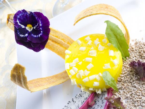 Tasta els sabors de la tardor