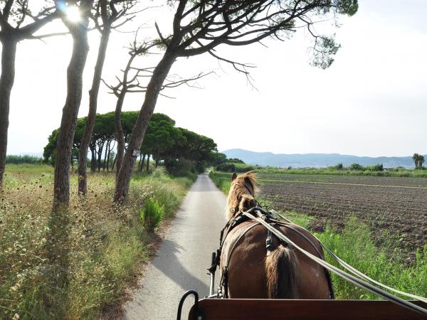 Matins i Capvespres a pagès
