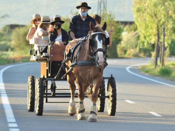 Matins i capvespres a pagès