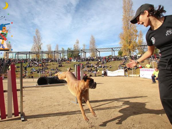 VI Trobada d’animals & cia.