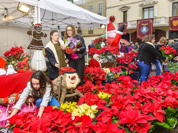 Fira de la Puríssima Sant Boi.jpg