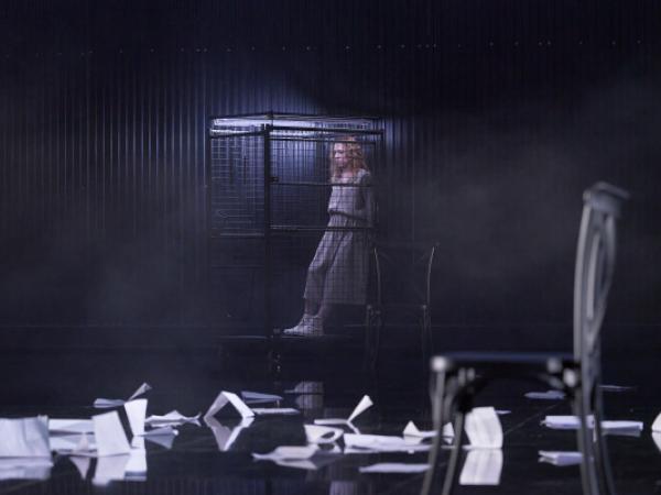 Terra baixa (Reconstrucció d'un crim)