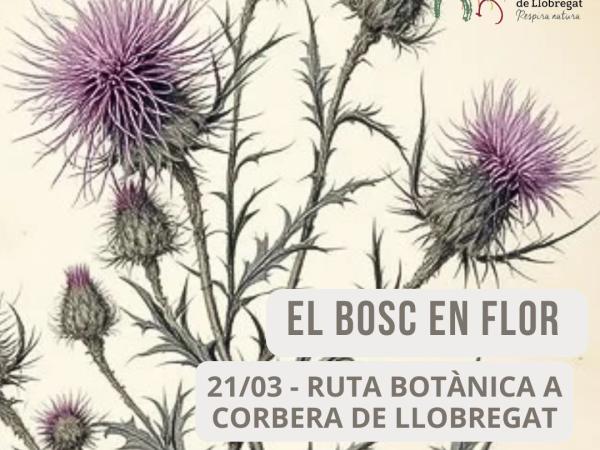 El Bosc en Flor - Ruta Botànica