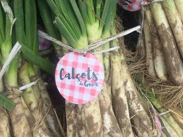Imatge calçots de Gavà.JPG
