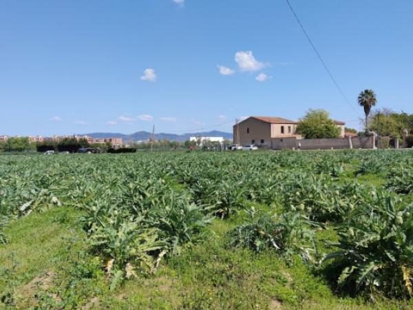 Passejada de descoberta