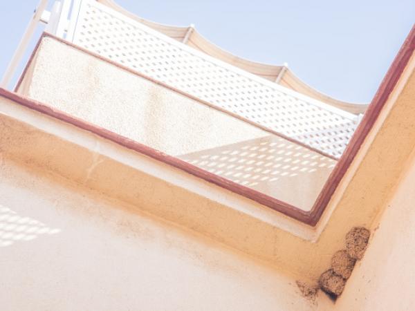 Vols conèixer quantes orenetes hi ha al Prat?