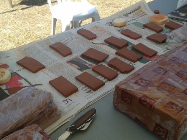 Jugateca del parc del Riu: La fauna secreta del parc i el taller de petjades