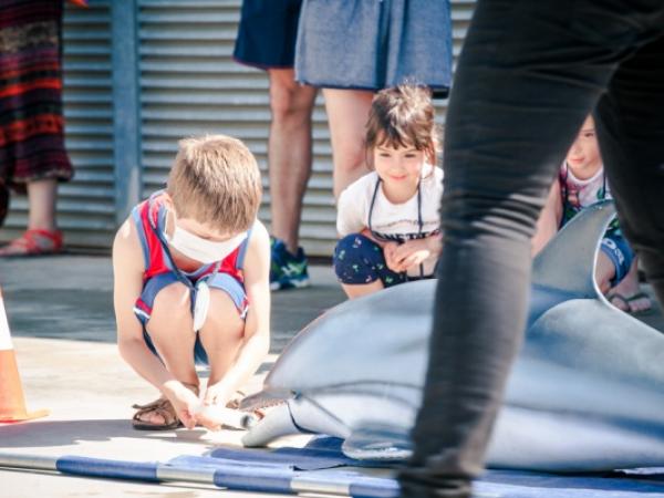 Simulacre del rescat d'un dofí